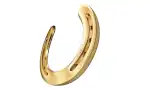 Horseshoe Online Casino Logo